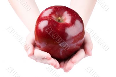 Holding Apple
