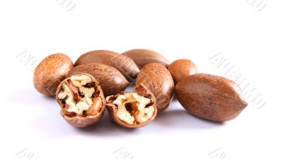 Pecan nuts on white