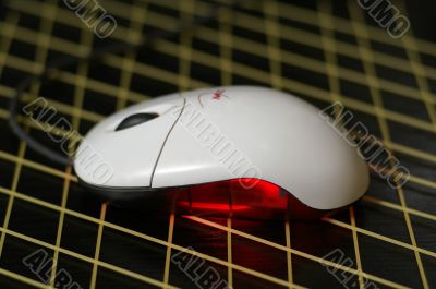 computer mouse