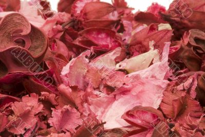 Potpourri Close-up