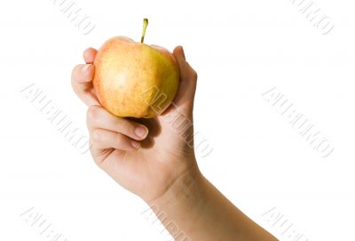 Adam`s Apple