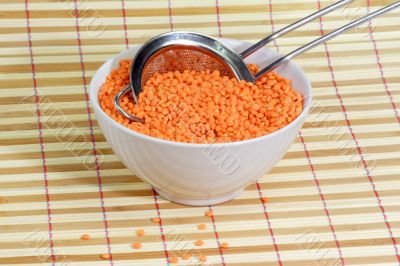 Orange Lentils