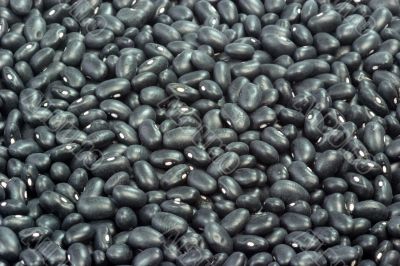 Black Beans