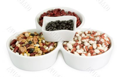 Different Kind of Legume
