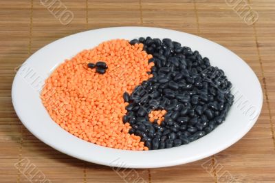 Yin Yang Sign