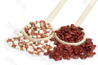 Red and white Beans on a cooking spoon