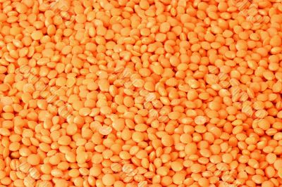 Orange Lentils