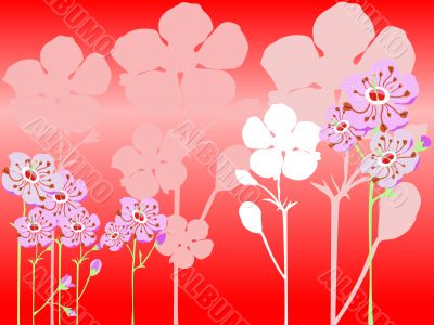 cherryblossombg