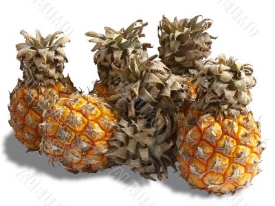 Bunch of small pineapples
