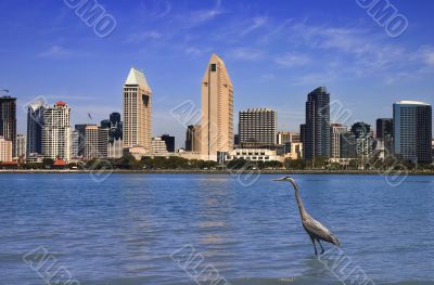 San Diego day skyline