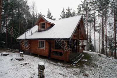 wooden cottage in the forest