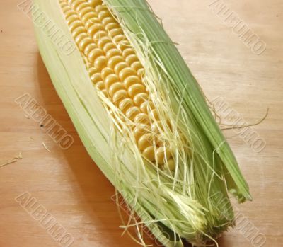 Fresh ear of corn