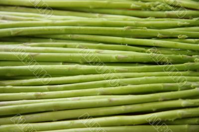 Fresh asparagus