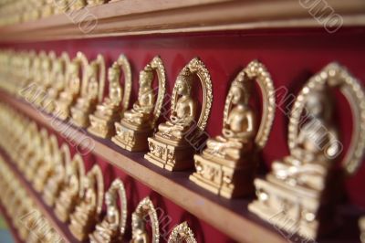 Rows of buddhas