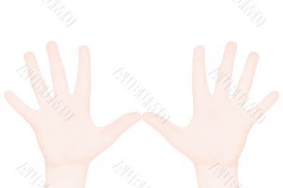 Ten fingers.