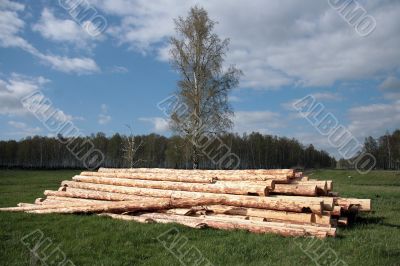 Logs .