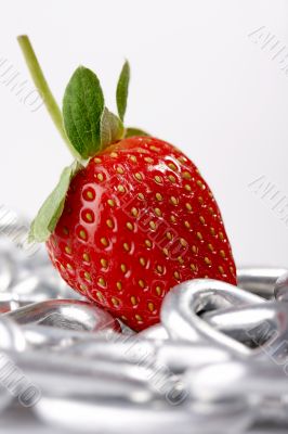 Strawberry imaginations