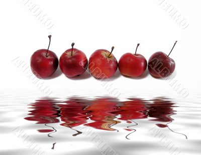 	Small apples