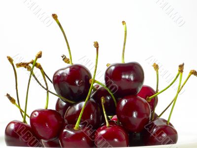 Black Cherries