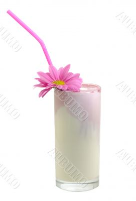 glass with a  milk - shake