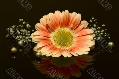 flower with perls and reflections