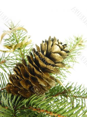 one gold cone on the fur-tree