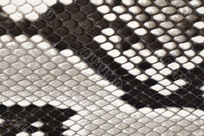 snake skin leather material