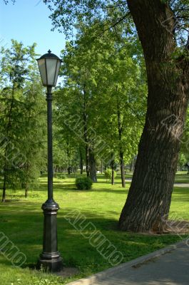 the park