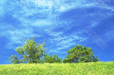 Blue sky