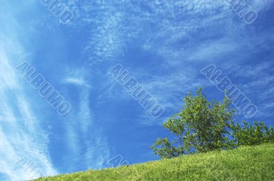 the hill