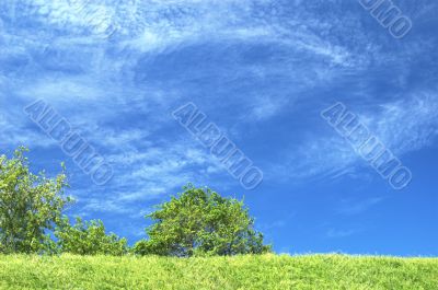 Blue sky