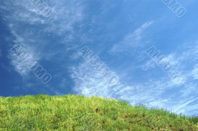the hill