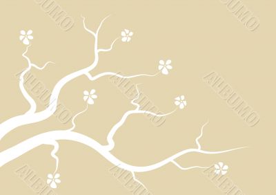 Blossom