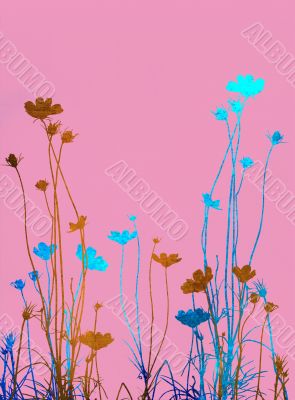 flower abstract textures and backgrounds