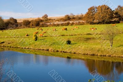beautiful view of the landscape