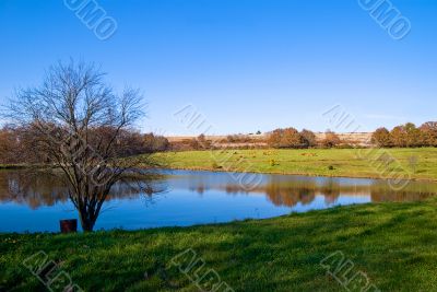 beautiful view of the landscape