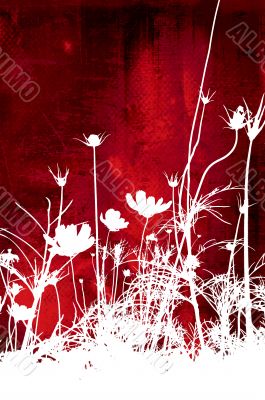 flower abstract textures and backgrounds