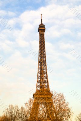 The Eiffel Tower