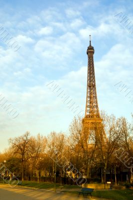 The Eiffel Tower