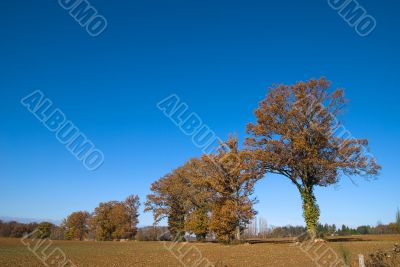 beautiful view of the landscape