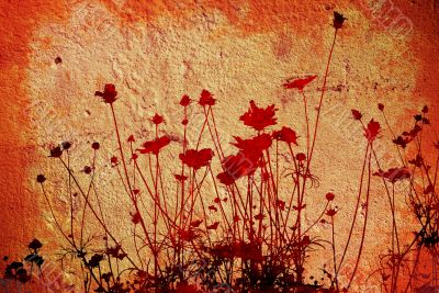 flower abstract textures and backgrounds