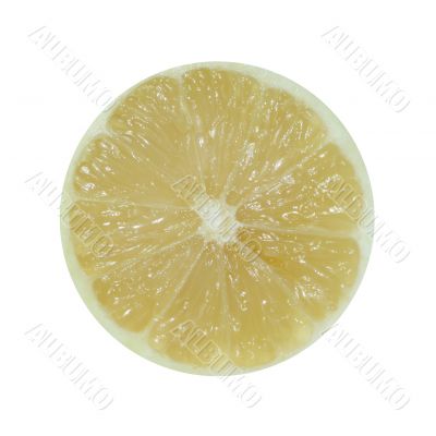 Lemon Slice