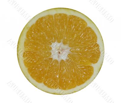 Orange Slice