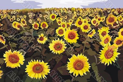 sunny flowers