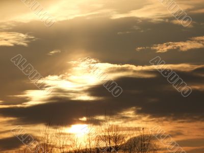 Gold Sunset