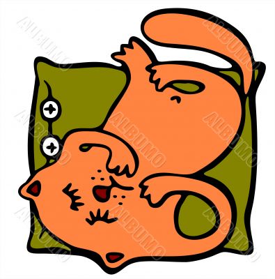 Sleeping cat