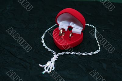 Wedding rings and chain