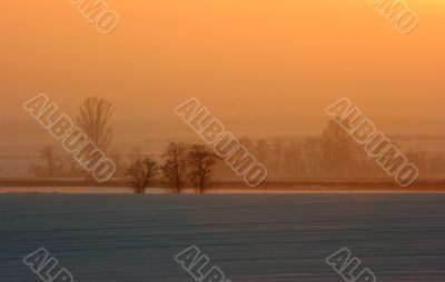 Landscape