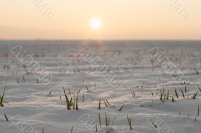 Snow