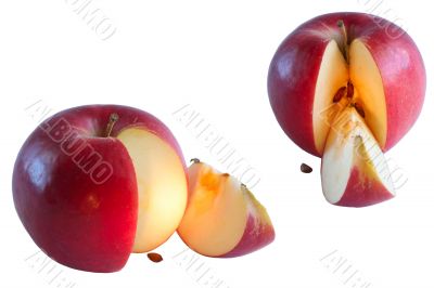 cutting apples